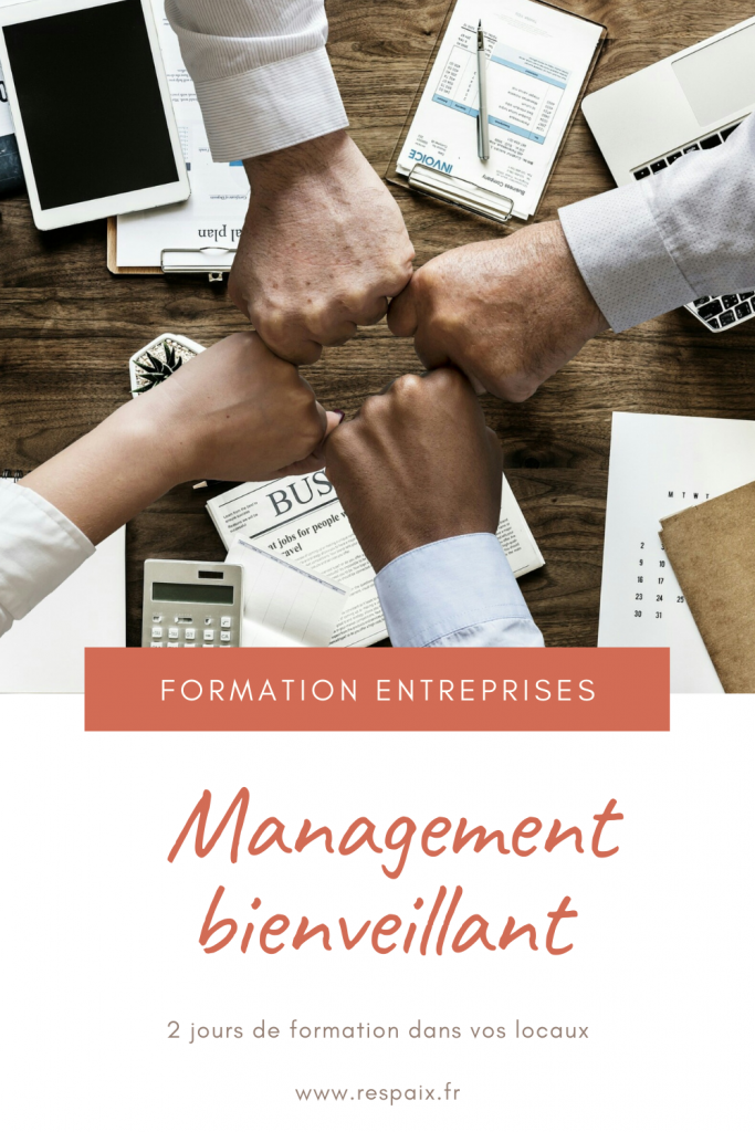 Une formation de 2 jours, dans vos locaux, pour aider vos managers à intégrer la bienveillance dans leurs pratiques managériales.